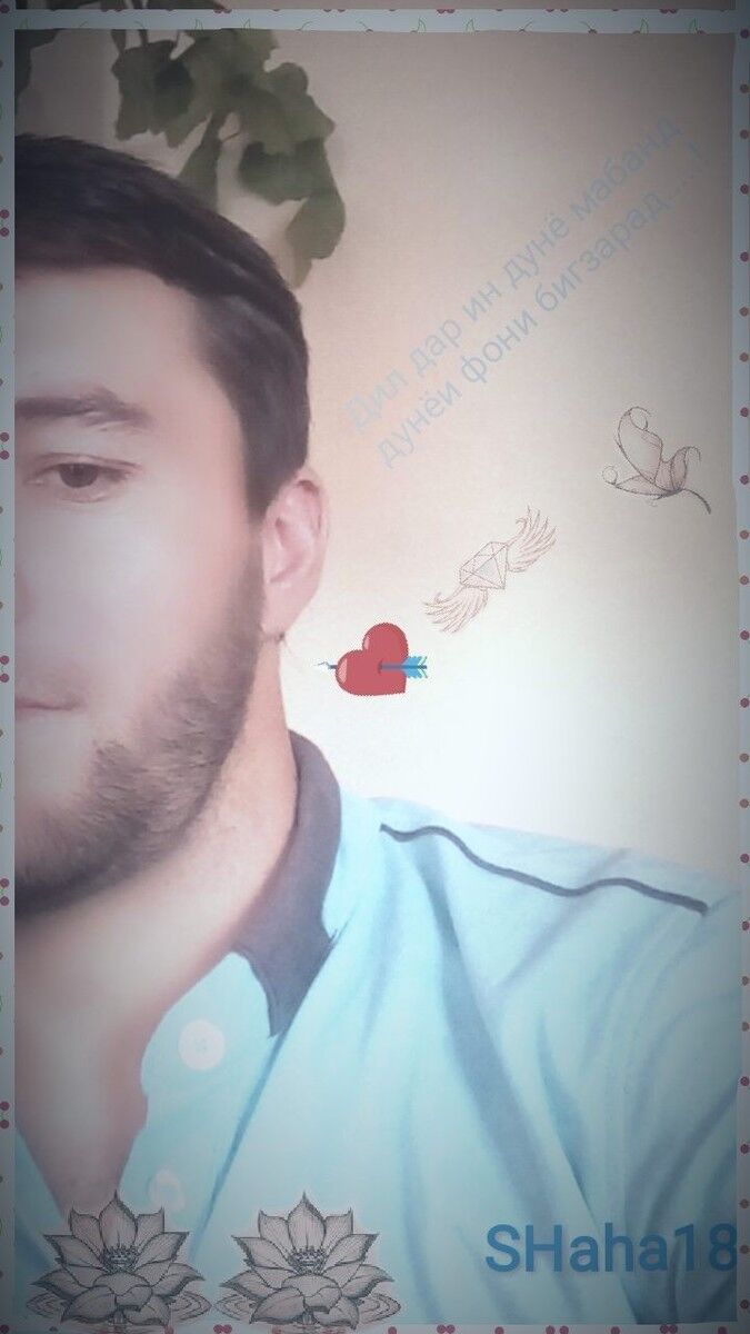  18055570  , 33 ,    