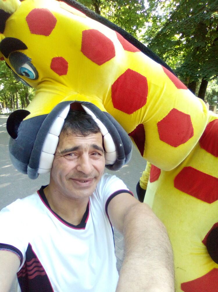  --,   , 48 ,   ,   