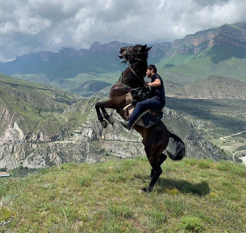 ���� 56319950 ������� Dzhamal, 28 ���, ���� ���������� � �������