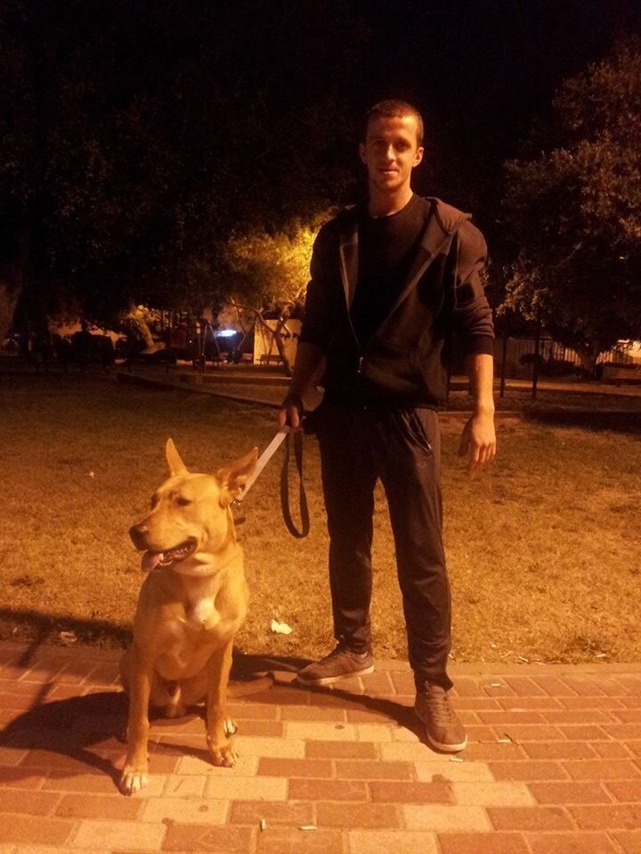  ,   Alexer, 33 ,     , c 