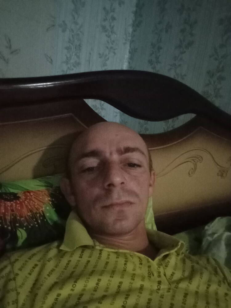  47309590  , 36 ,    
