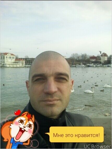 ���� 11320600 ������� ����, 48 ���, ���� ���������� � �����������