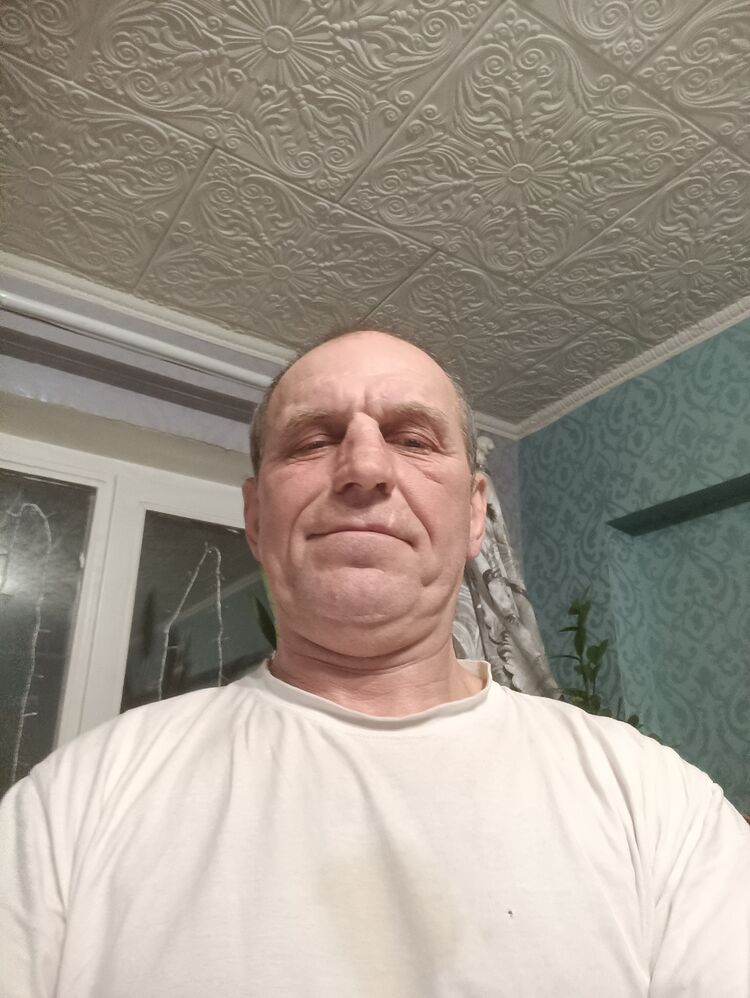  43901880  , 56 ,    