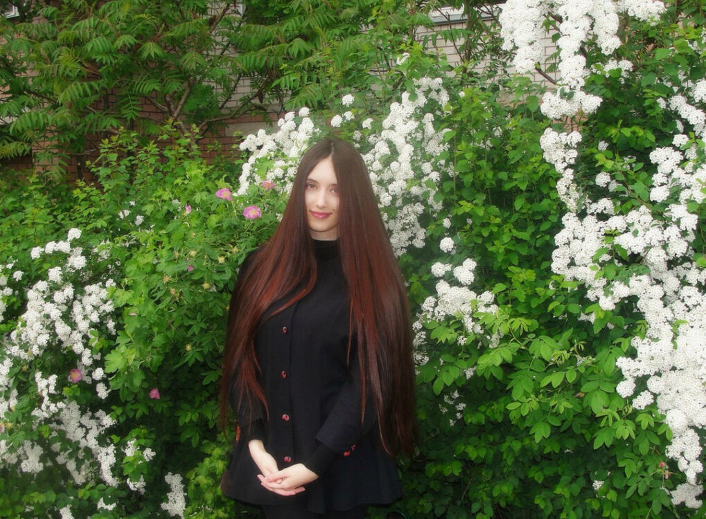  23815120  Nifertity, 24 ,    