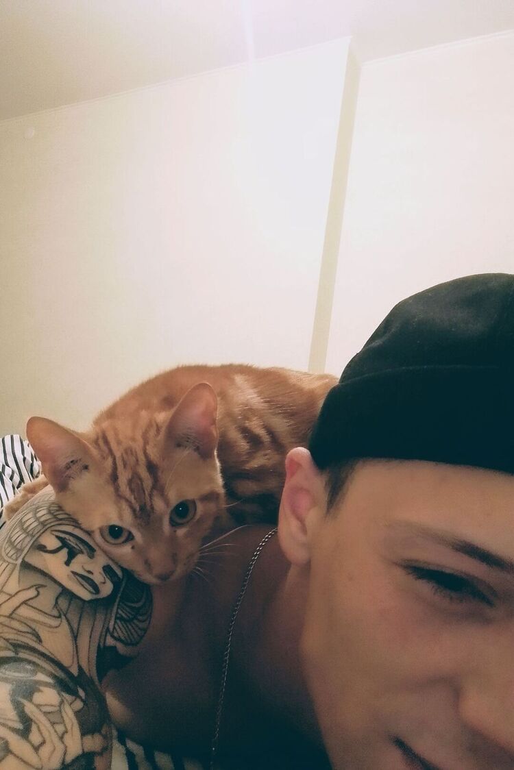 ���� 41000350 ����� �����, 22 ����, ���� ���������� � ������