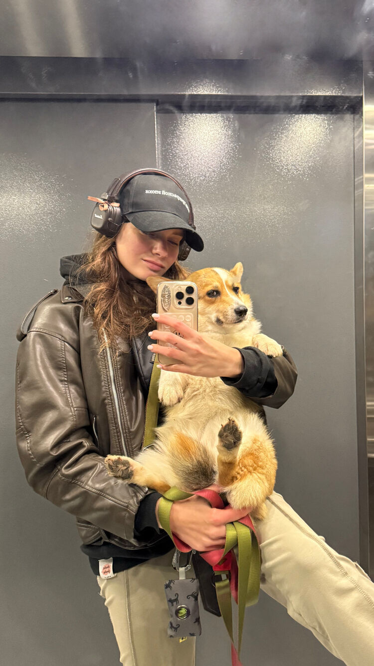 ���������� ������, ���� ������� ���������, 27 ���, ������������ ��� ����� � ���������, c�������� ���������