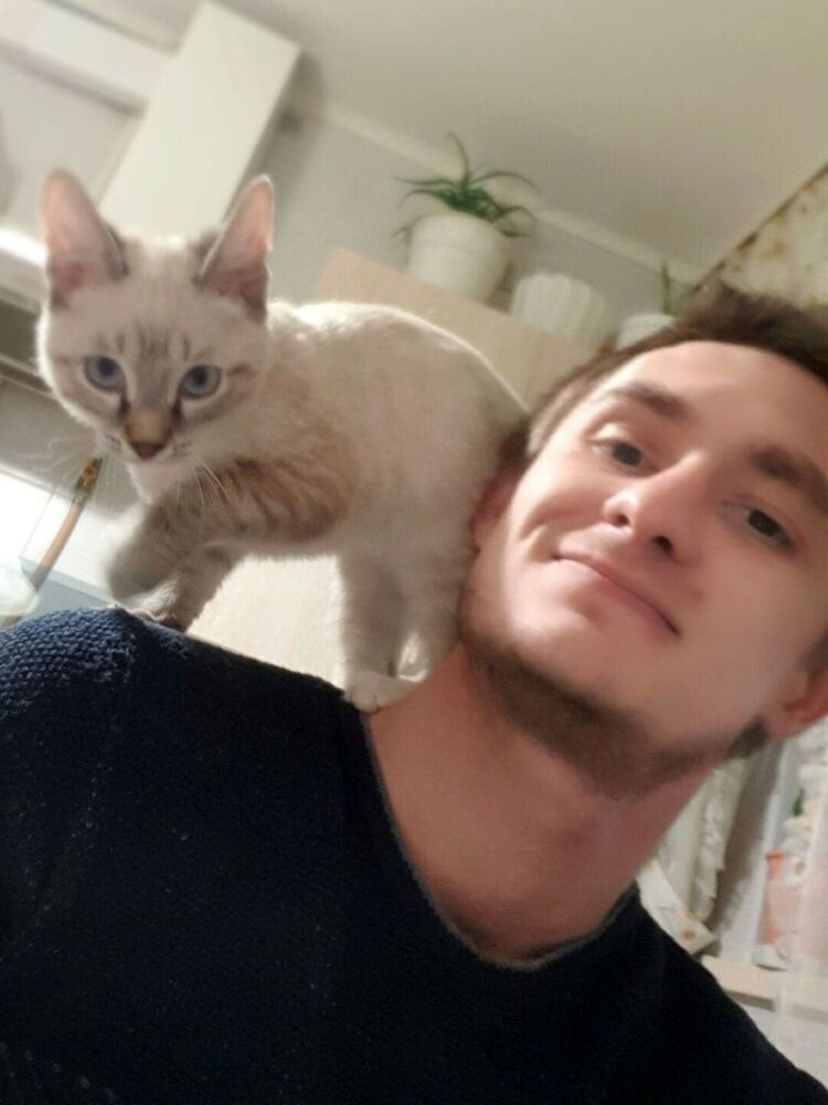 ���������� ����-���������, ���� ������� �������, 33 ����, ������������ ��� ������, ����� � ���������, c�������� ���������, ���������