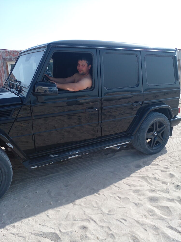 ���� 31387980 ������� ����, 36 ���, ���� ���������� � ������