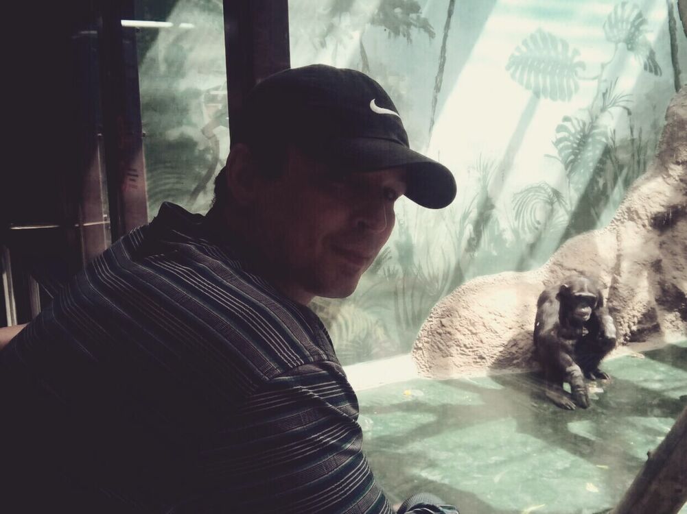 ���� 56116000 ������� ������, 58 ���, ���� ���������� � �������������