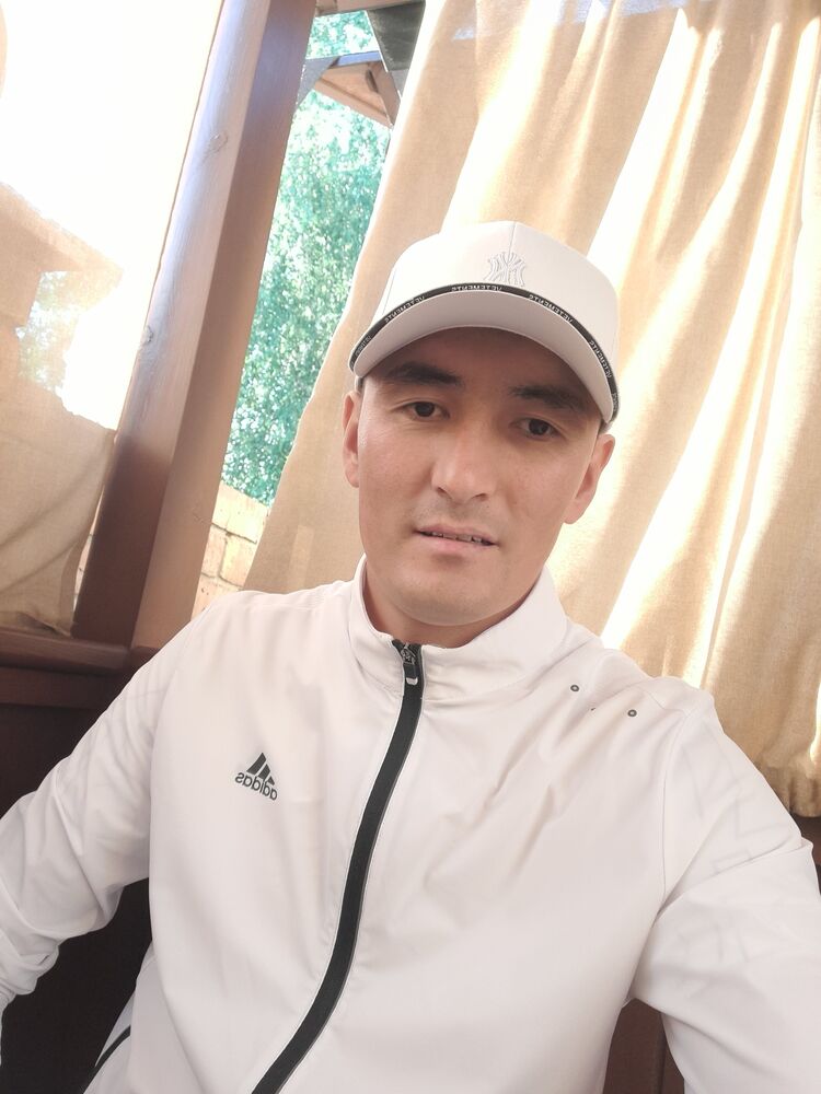  24144340  , 33 ,    -