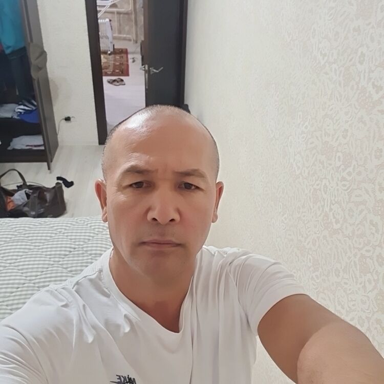  51154590  , 38 ,    