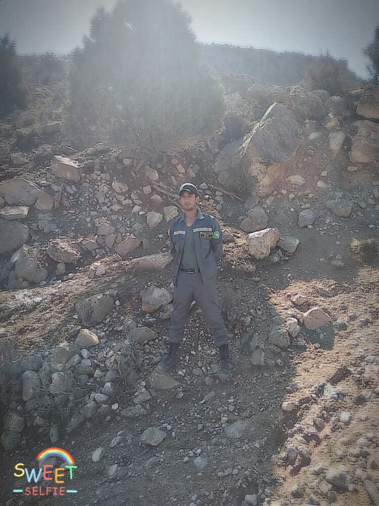  51392500  , 31 ,    