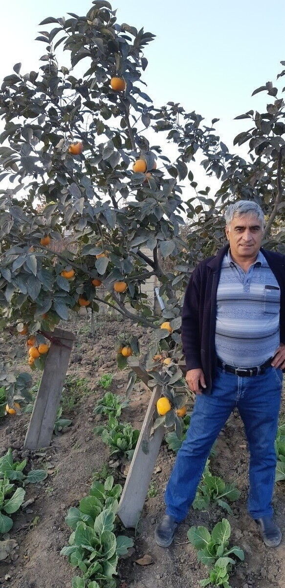 ���� 19646140 ������� �����, 62 ����, ���� ���������� � ���������