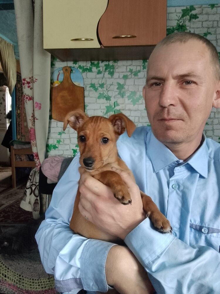 ���������� ������, ���� ������� ������, 44 ����, ������������ ��� ������, ����� � ���������