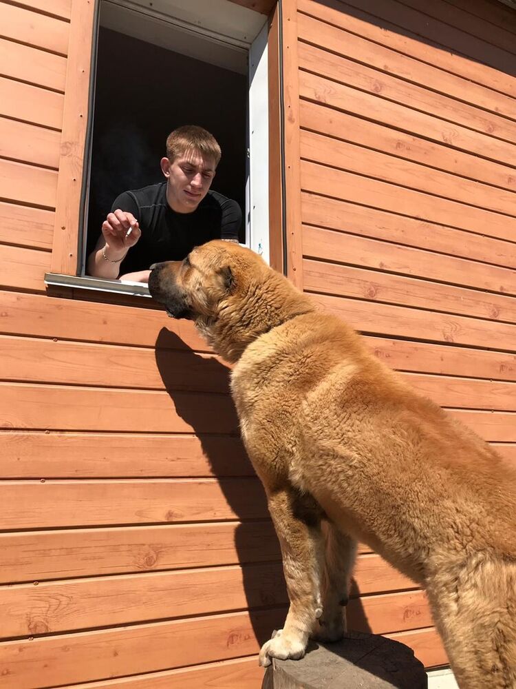 ���� 16744470 ������� �������, 49 ���, ���� ���������� � ����������