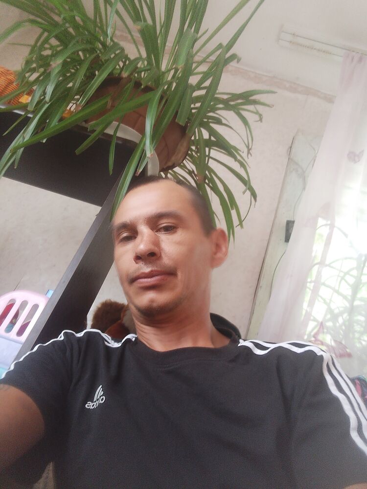  46023410  , 40 ,    