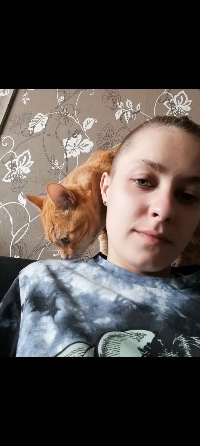  ,   , 28 ,   c 
