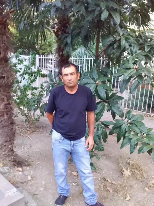 ���� 30206180 ������� ����, 51 ���, ���� ���������� � ��������