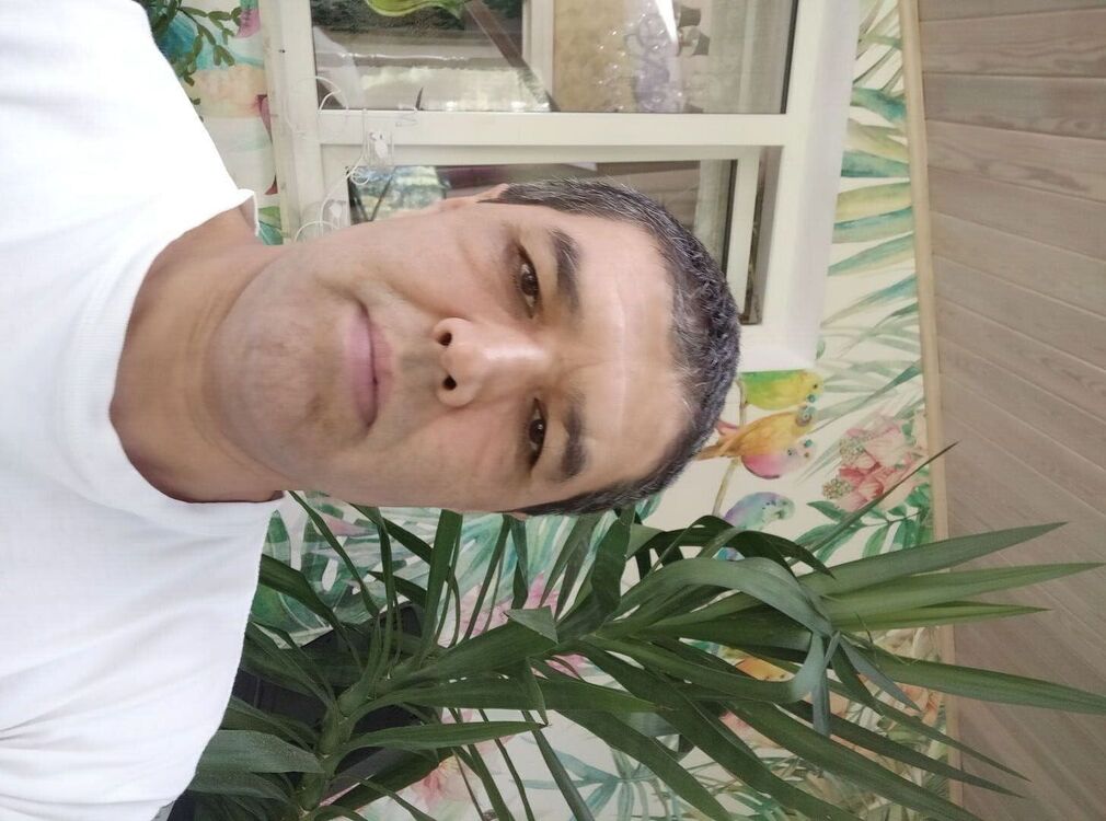  38138110  , 54 ,    