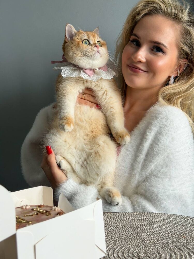 ���������� ������-��-����, ���� ������� ����, 28 ���, ������������ ��� ������, ����� � ���������