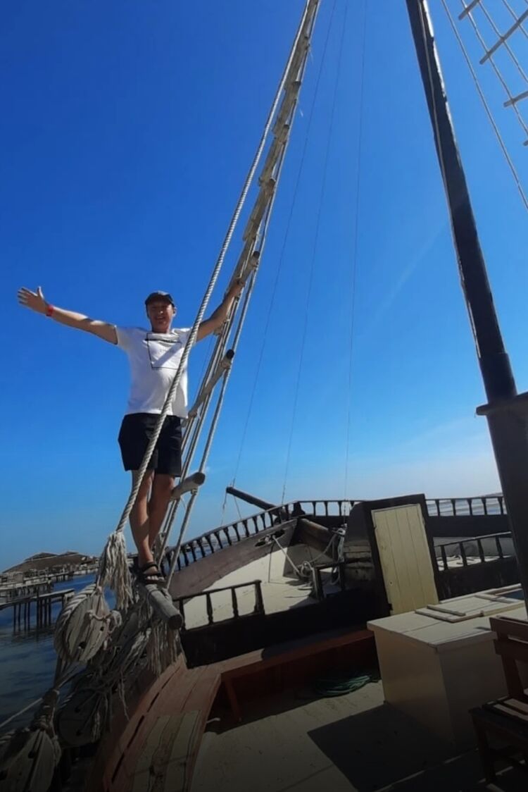  54704560  , 49 ,    -