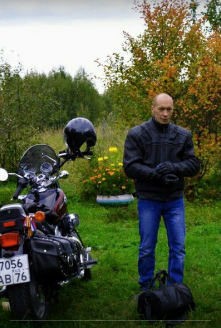 ���� 12138690 ������� Lis, 56 ���, ���� ���������� � ���������