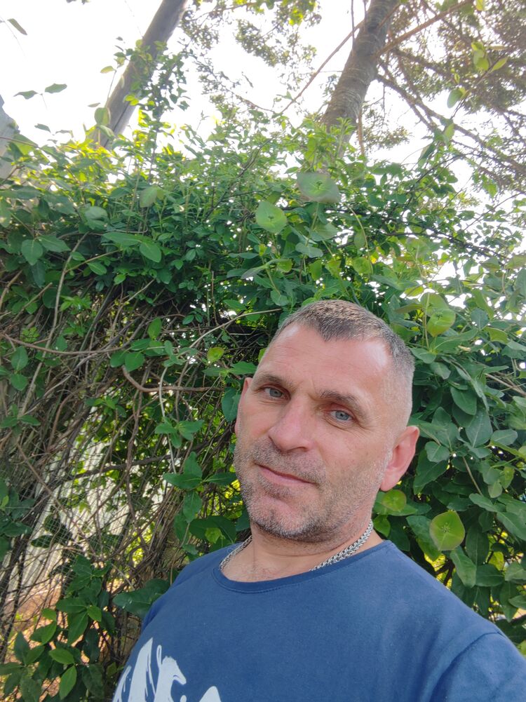  51937860  , 44 ,    