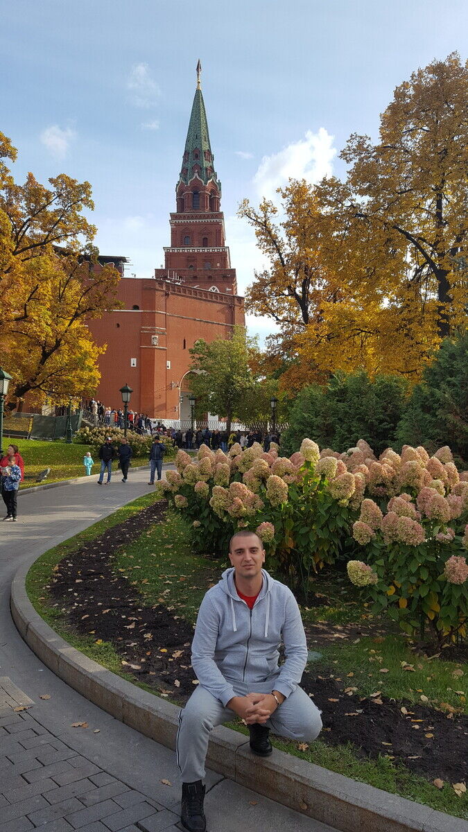 ���� 20636800 ������� Adello, 37 ���, ���� ���������� � ������