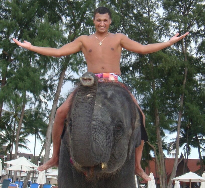 ���������� ����������, ���� ������� ���������, 41 ���, ������������ ��� ������