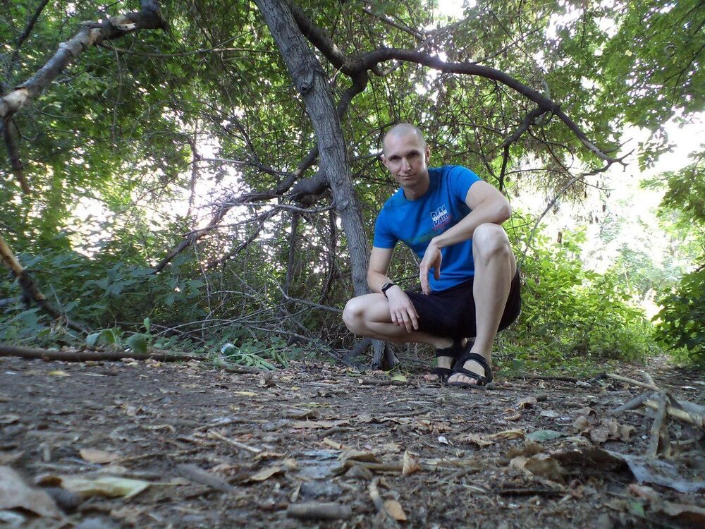 ���� 55153540 ������� ��������, 42 ����, ���� ���������� � ��������