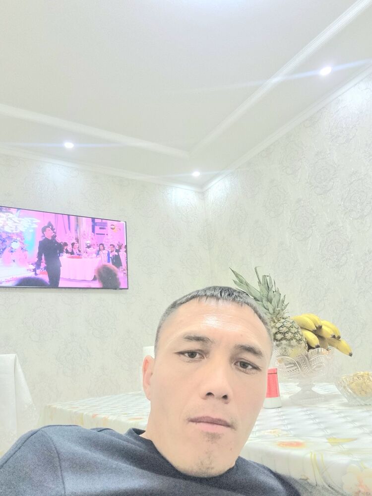  49536040  , 36 ,    -
