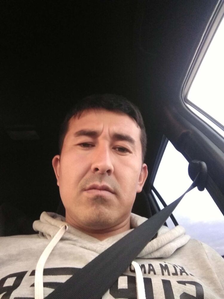  18402590  , 36 ,    -