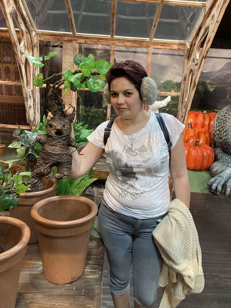  27036460  , 39 ,    -