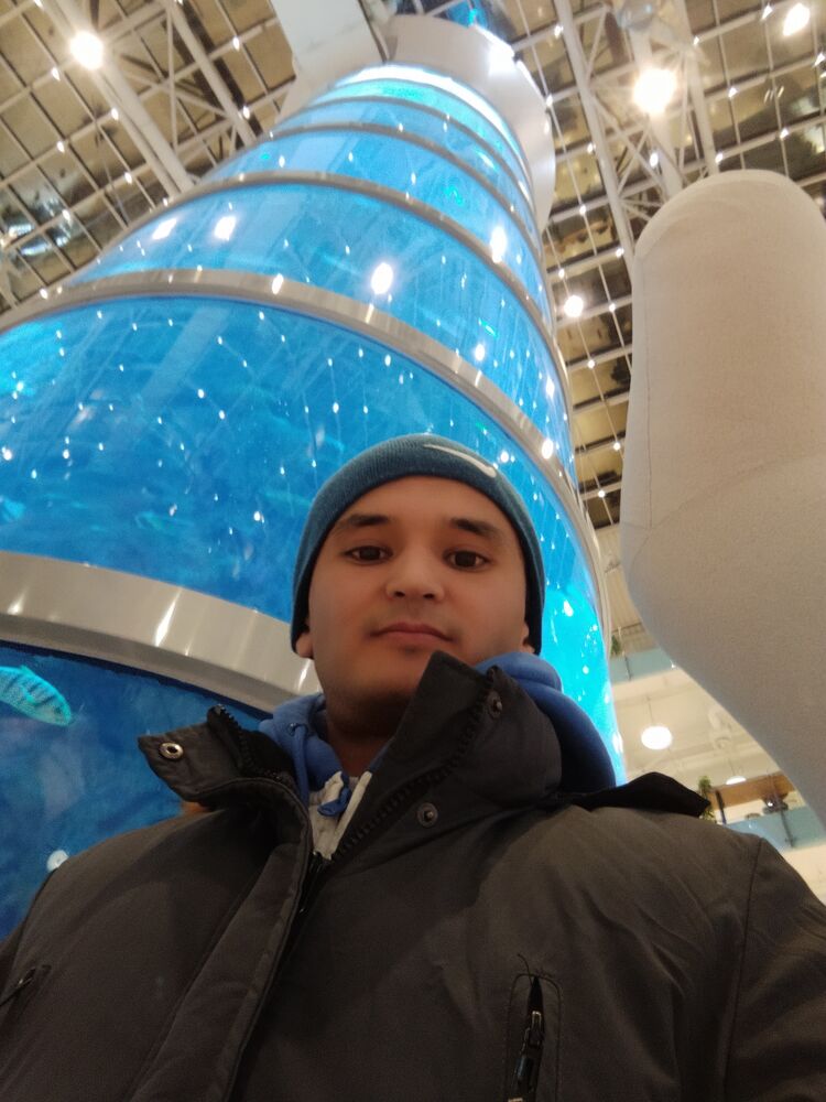 ���� 31629590 ������� �����, 33 ����, ���� ���������� � ������