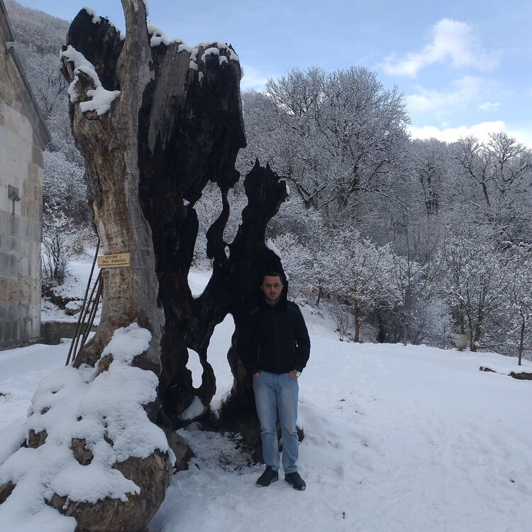 ���� 20241420 ����� Arg, 24 ����, ���� ���������� � �������