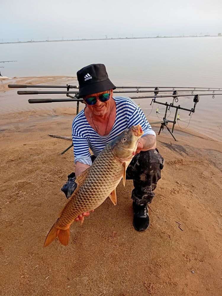 ���� 55275950 ������� �������, 57 ���, ���� ���������� � �������