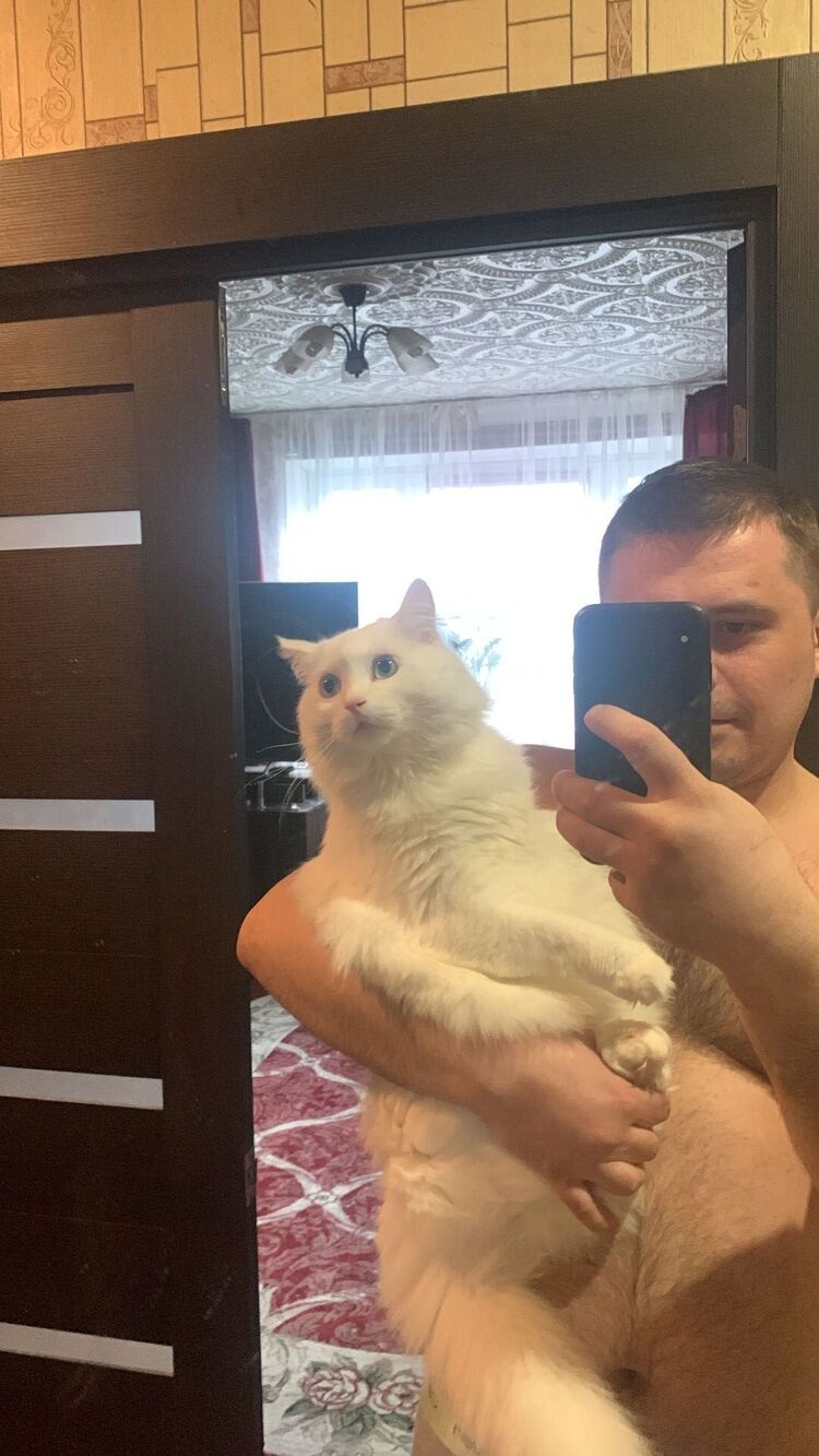 ���������� ������, ���� ������� ������, 37 ���, ������������ ��� ������, ����� � ���������, c�������� ���������, ���������