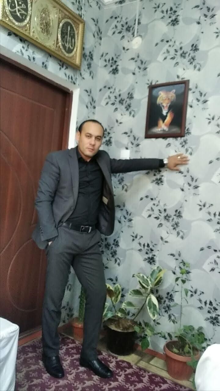  53368030  , 41 ,    