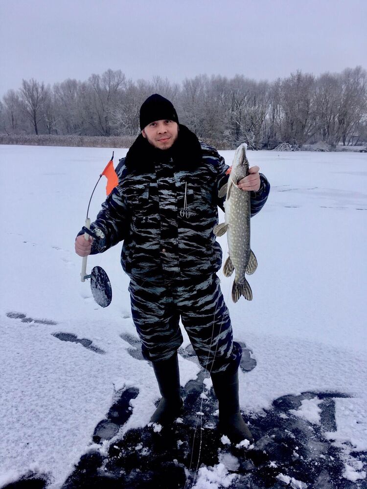 ���� 55791590 ������� ������, 34 ����, ���� ���������� � ������� ����