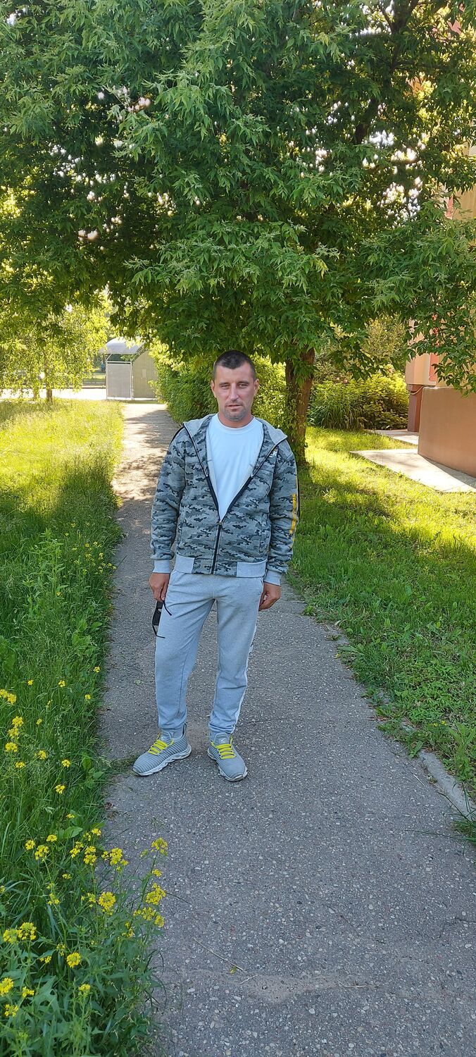  29195550  , 40 ,    