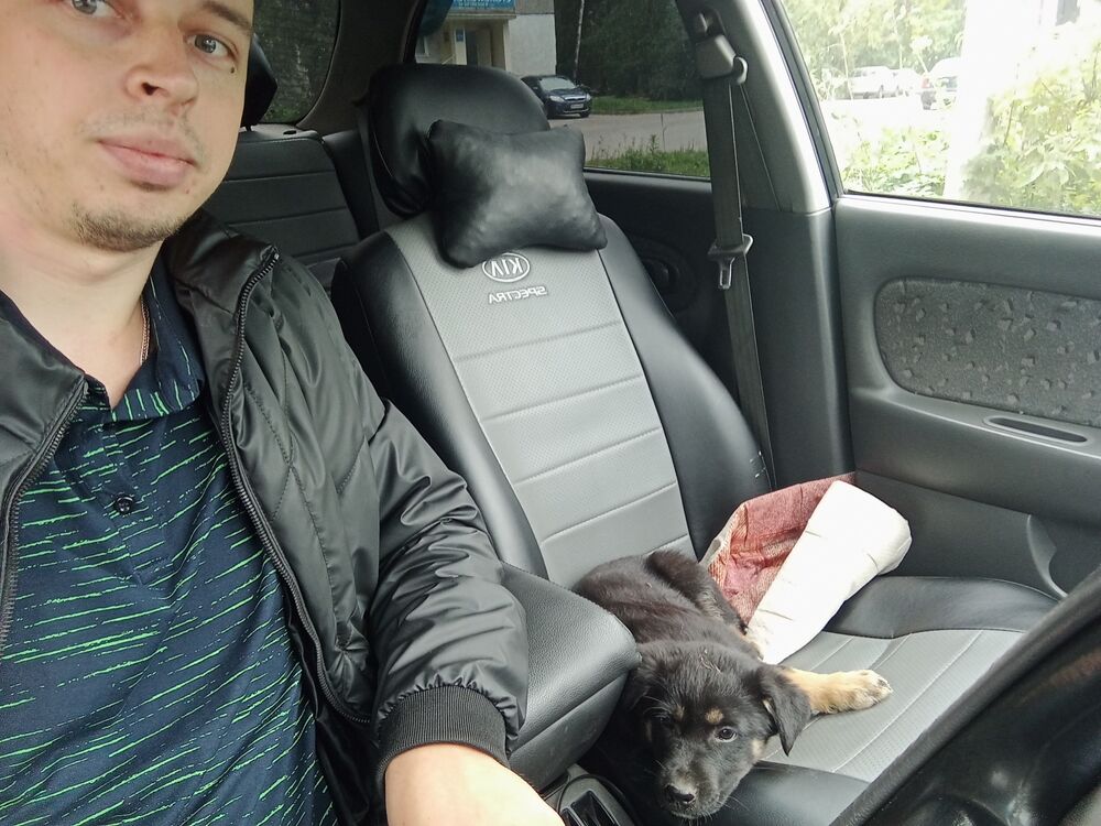 ���� 39937920 ������� ������, 29 ���, ���� ���������� � �����