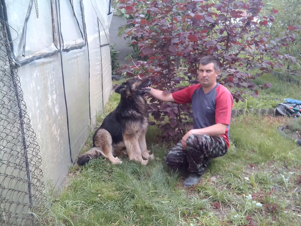  -,   Igor, 39 ,   ,   , c 