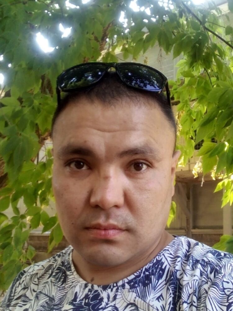 ���� 44395160 ������� ������, 38 ���, ���� ���������� � ����������