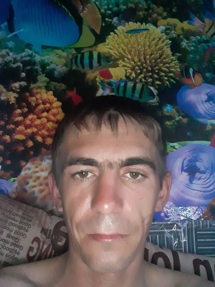  20369440  , 39 ,    
