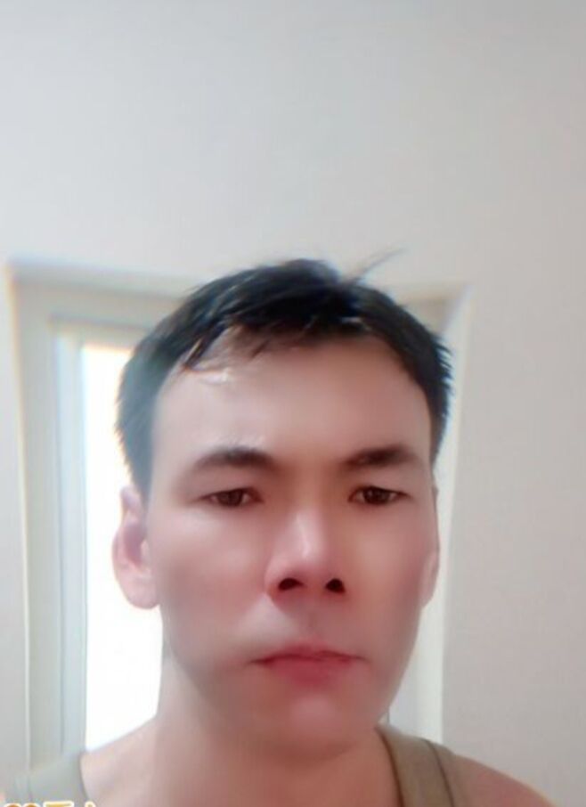  49454160  , 41 ,    