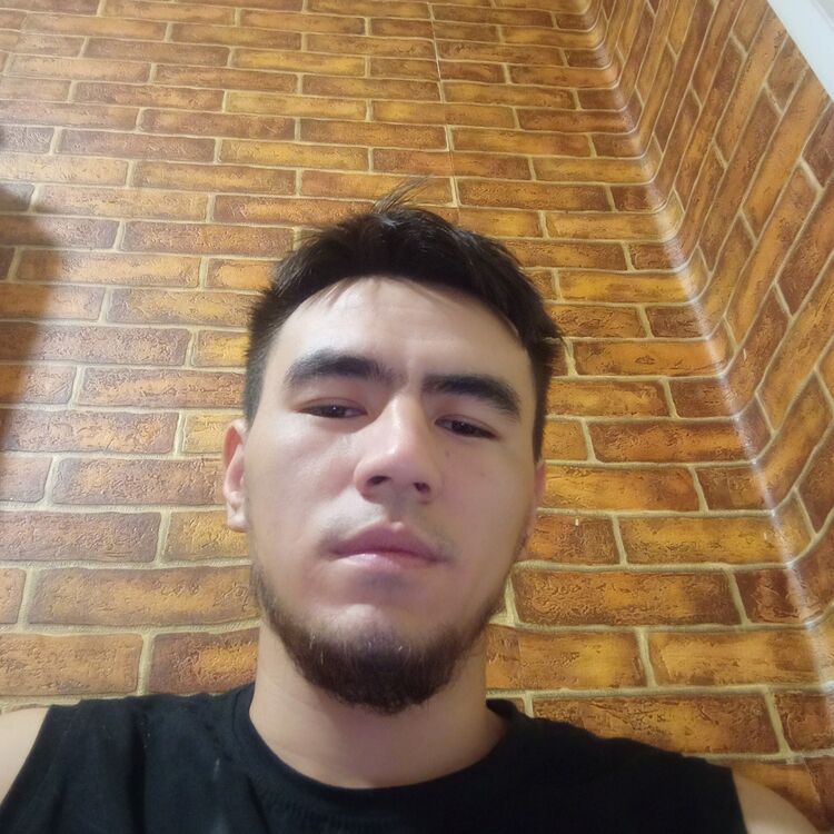  38388760  Abu, 24 ,    