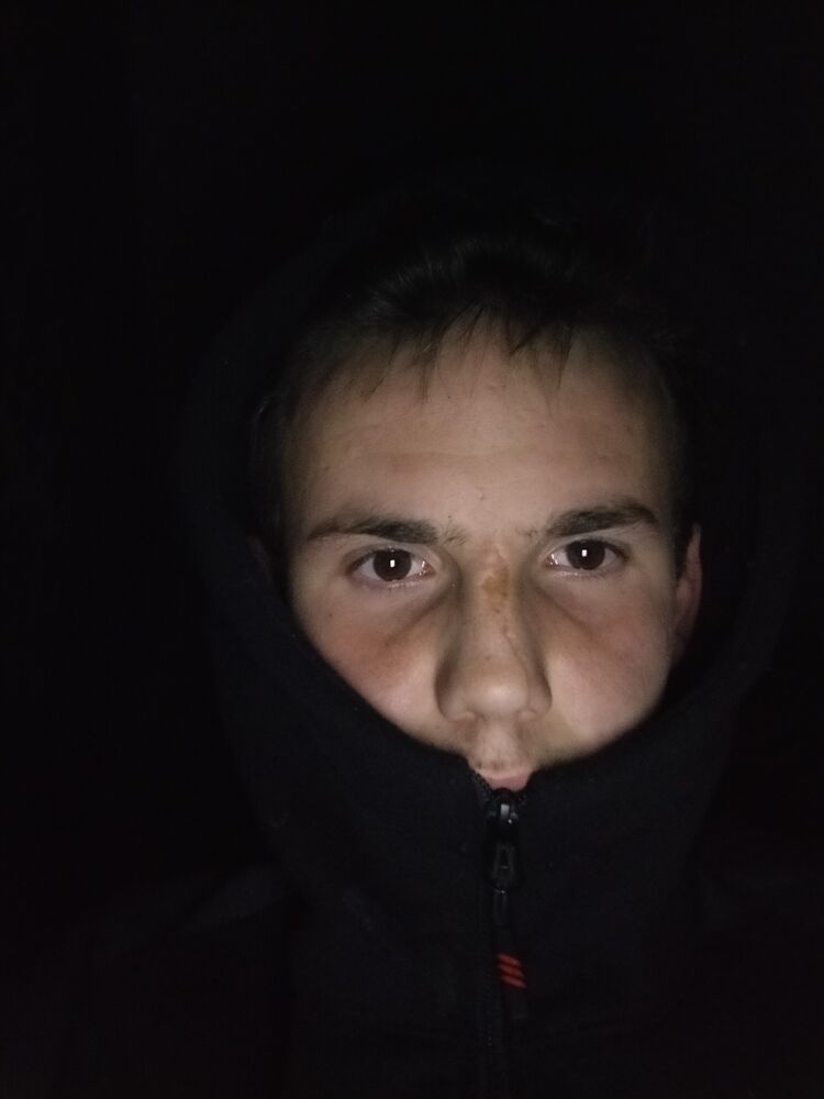  24556770  , 22 ,    