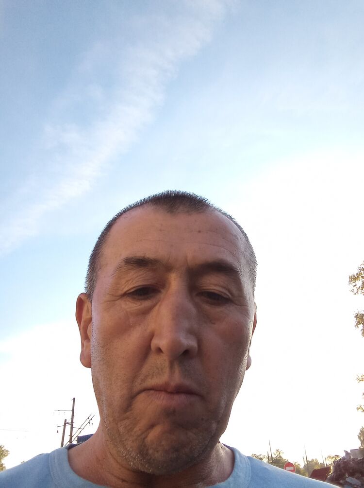  37899210  , 56 ,    