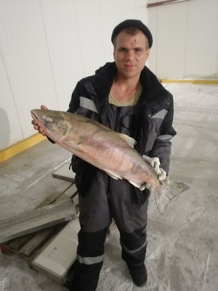 ���� 30229750 ������� �����, 32 ����, ���� ���������� � ����-����������