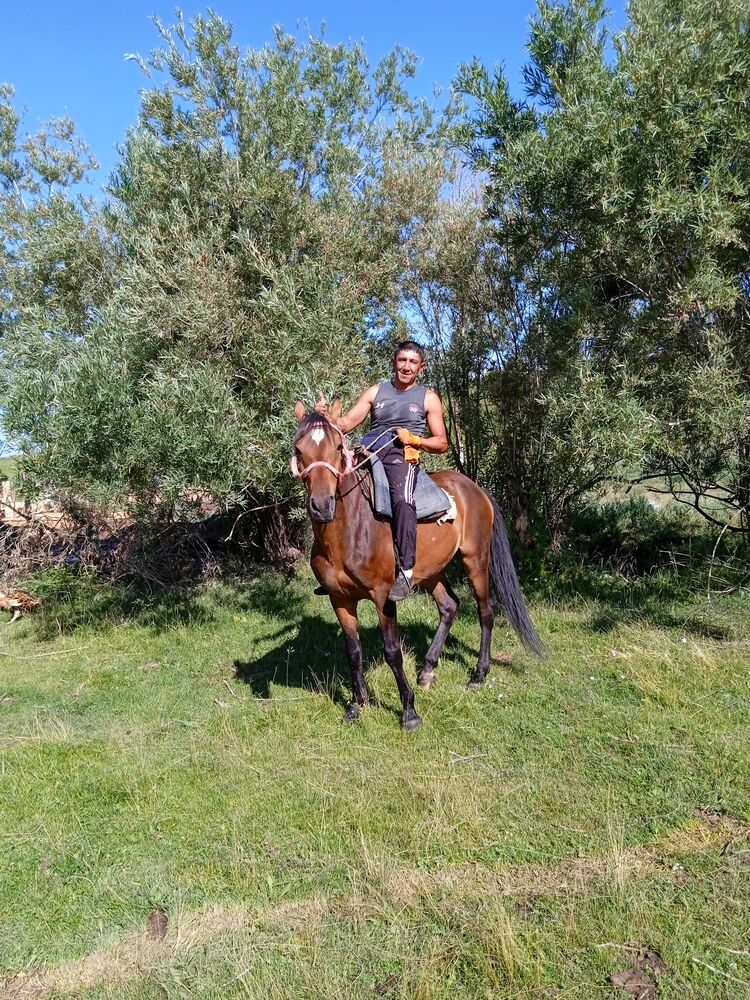 ���� 23679120 ������� ABDUROHMAN, 42 ����, ���� ���������� � �������